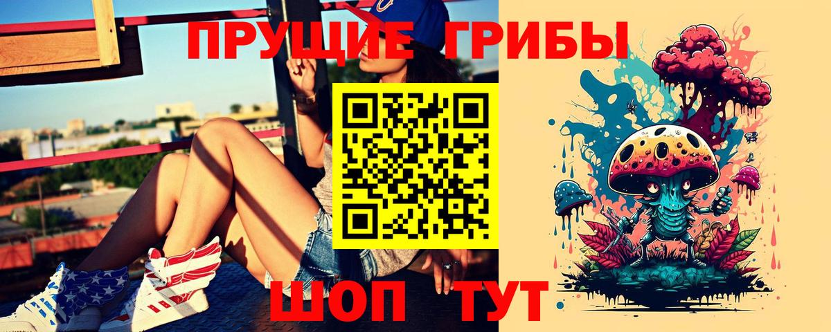 Галлюциногенные грибы Cubensis Гудермес